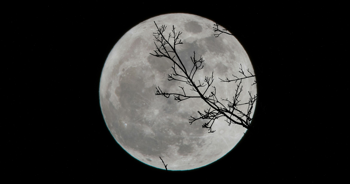 Luna de Gusano