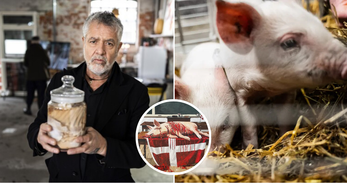 Artista Marco Evaristti