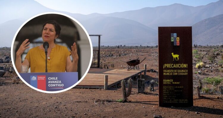 Comité de Ministros recurre al TC por fallo del Tribunal Ambiental que ordena votar nuevamente Dominga