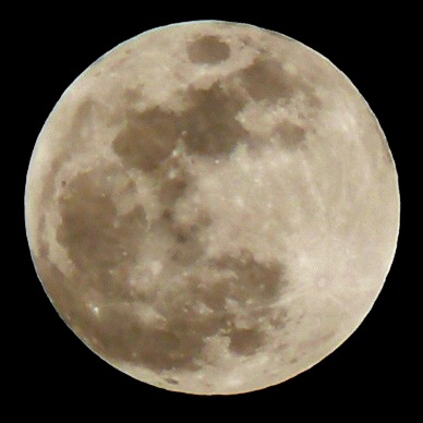 Dónde ver en vivio por streaming la transmisión del eclipse de Luna lunar