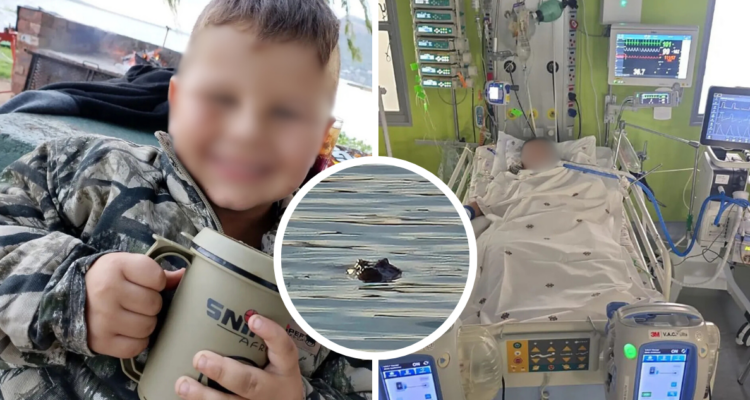 Desarrollan una herramienta que modifica células para potenciar la inmunoterapia en cáncer