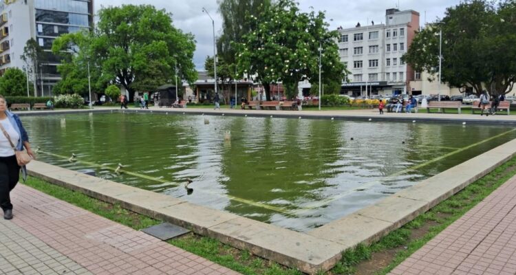 OBRAS JUEGO DE LUCES DE PILETA DE PLAZA DE ARMAS DE OSORNO