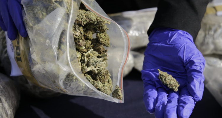 Operativo antidrogas La Araucanía