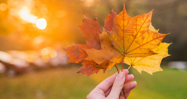 Cuándo comienza exactamente el otoño 2025 en Chile ¿Por qué ocurre el cambio de estación?