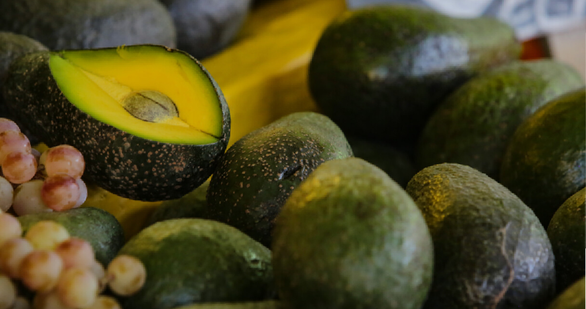Con más de ocho kilos por persona al año: Chile es el segundo mayor consumidor de palta del mundo