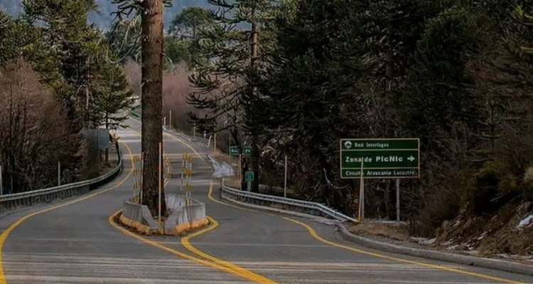 Carretera en cercanías de paso Mamuil Malal