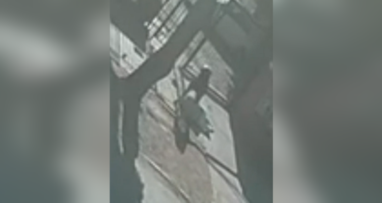 Matan de un piedrazo a un hombre para robarle sus pertenencias en Peñalolén