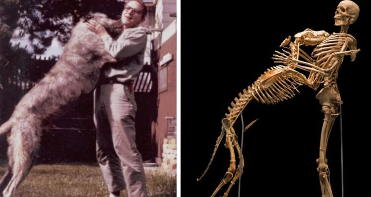 Grover Krantz y Clyde | Creative Commons.