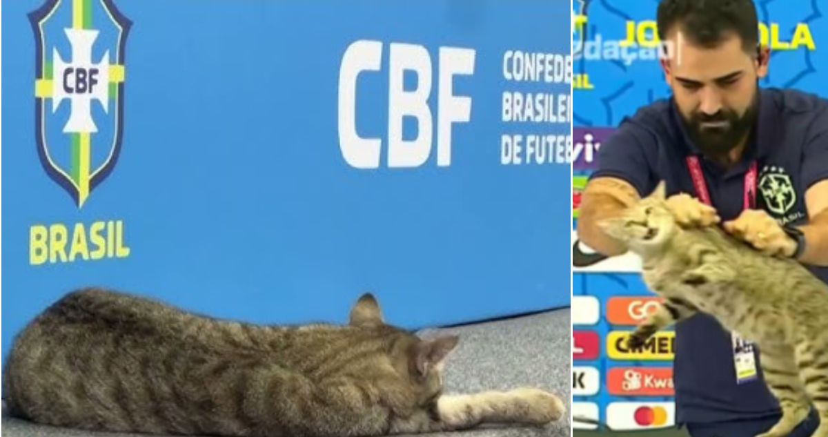 Hexa, el gato y la maldición que sacude a Brasil desde 2022