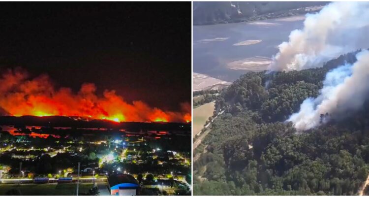 Querella simultaneidad e intencionalidad de incendio en Hualqui