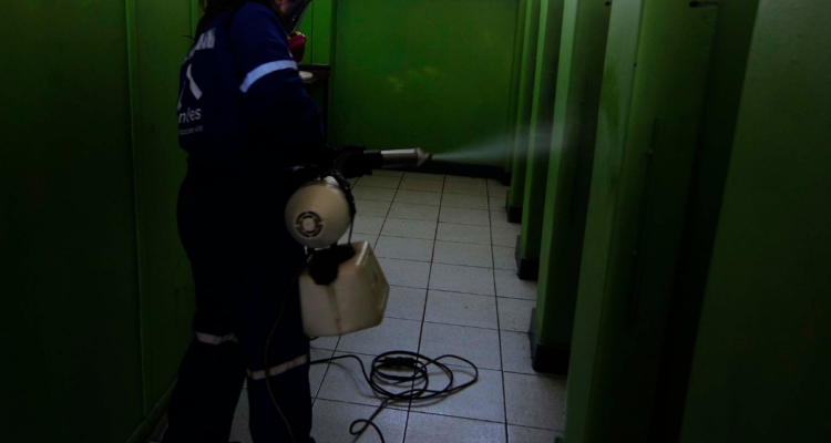 ratón liceo puerto montt