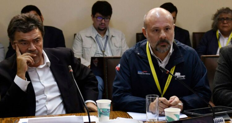 la Cámara de Diputados rechazó el artículo cuarto del proyecto de ley que convierte a la Conaf en el Servicio Nacional Forestal Sernafor