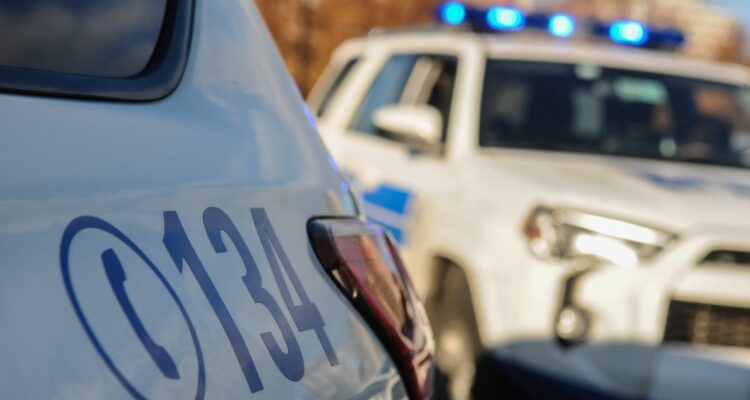 Recuperan camiones y semirremolques robados a empresa de transporte internacional en Calle Larga