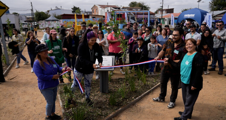 Con instalación de plantas y espacios de recreación: Refresca tu Barrio inauguró plaza en Valdivia