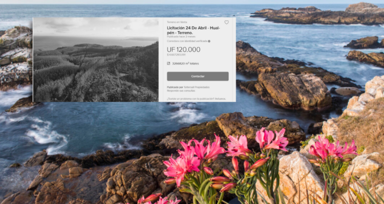 Municipalidad de Hualpén pide al Estado comprar fundo del santuario para su conservación. Santuario está en venta para proyectos inmobiliarios