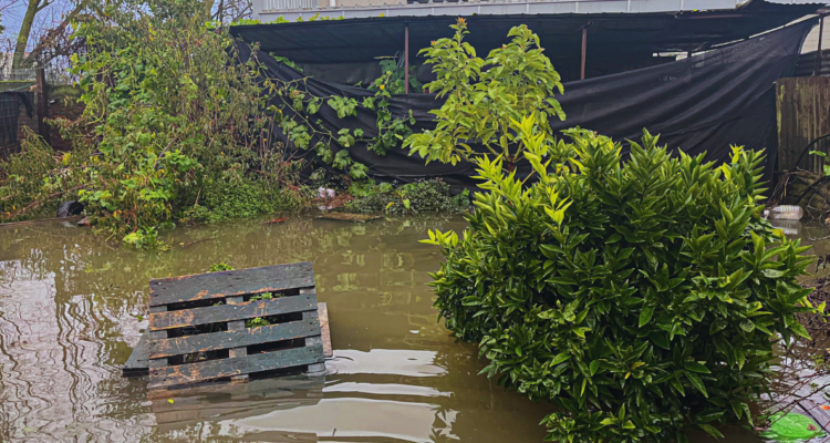 Vecinos acusan calles inundadas tras primera “gran lluvia” del año en Valdivia