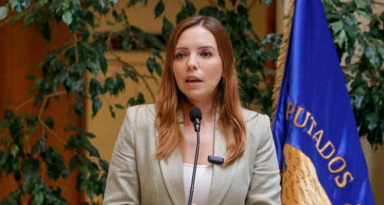 Diputada Flores en contra de Ministerio de Seguridad: “Creará burocracia y más cargos políticos”