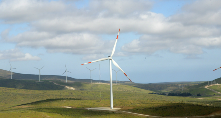 Habitantes de Frutillar expresan descontento por instalación de 49 aerogeneradores en sectores rurales