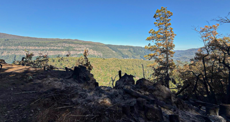 Benjamín González | Agencia Uno
