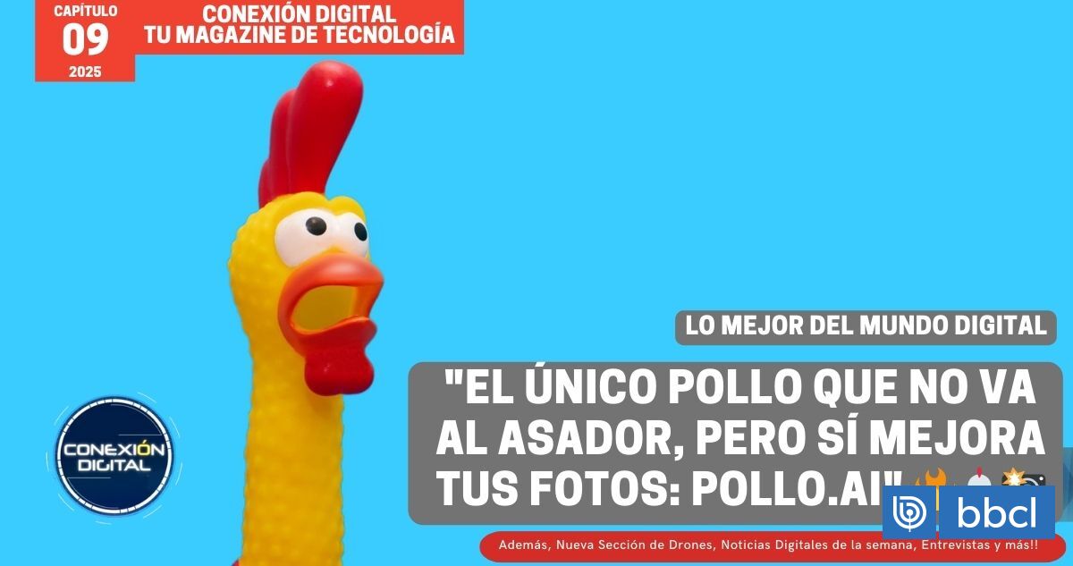 Pollo.AI: El único pollo que no va al asador, pero sí mejora tus fotos ...