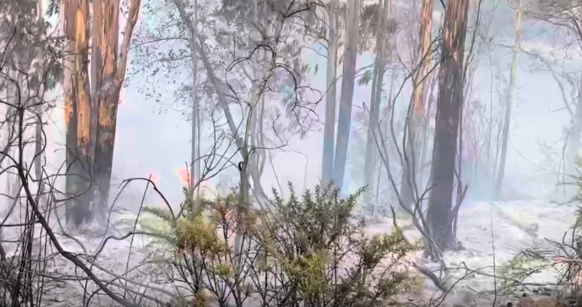 Incendio perquenco