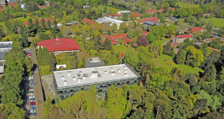 Aprueban por unanimidad convocatoria para elegir rectoría de UACh para periodo 2025-2029