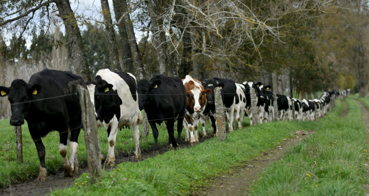 Comisión agricultura gore los lagos