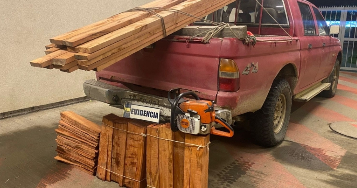 robo árboles nativos