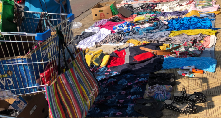 Comercio ambulante valdivia