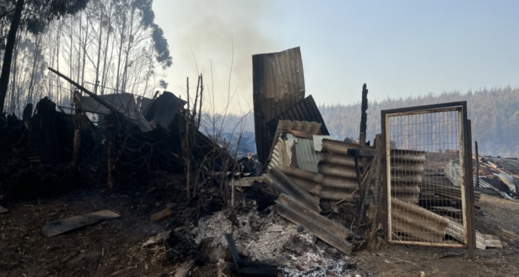 Incendio forestal Traiguén