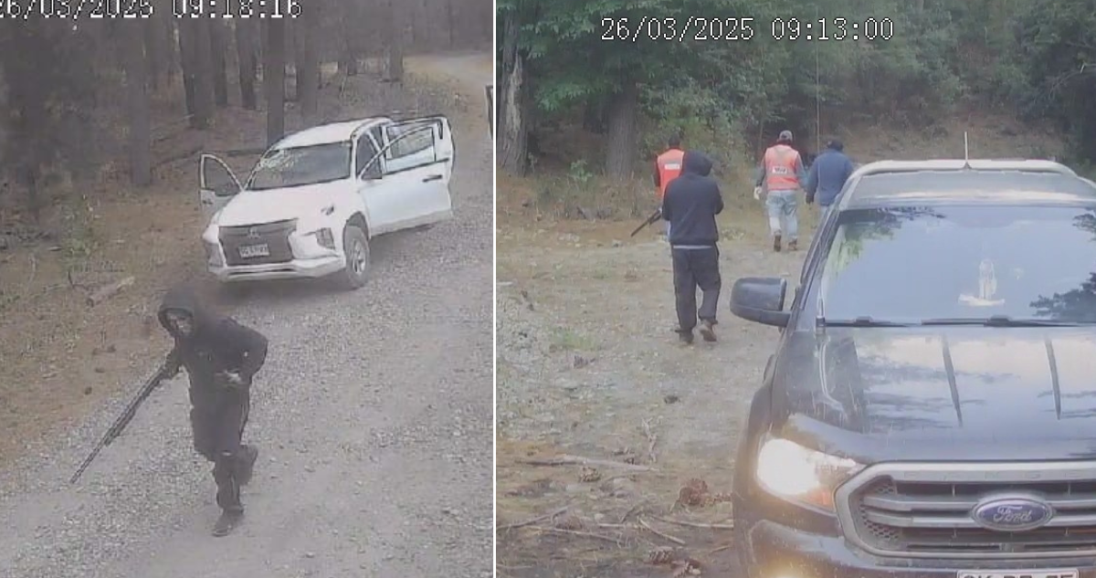 Violento robo afectó a camioneta de contratistas forestales en predio de Collipulli