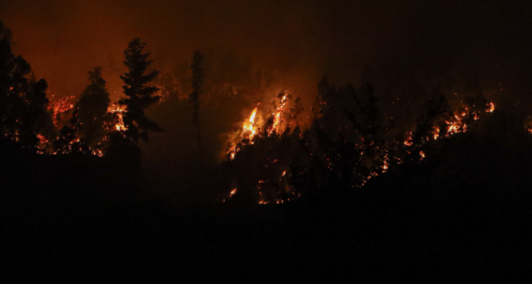Gobierno se querellará por incendio forestal en Santa Bárbara que ha destruido más de 600 hectáreas