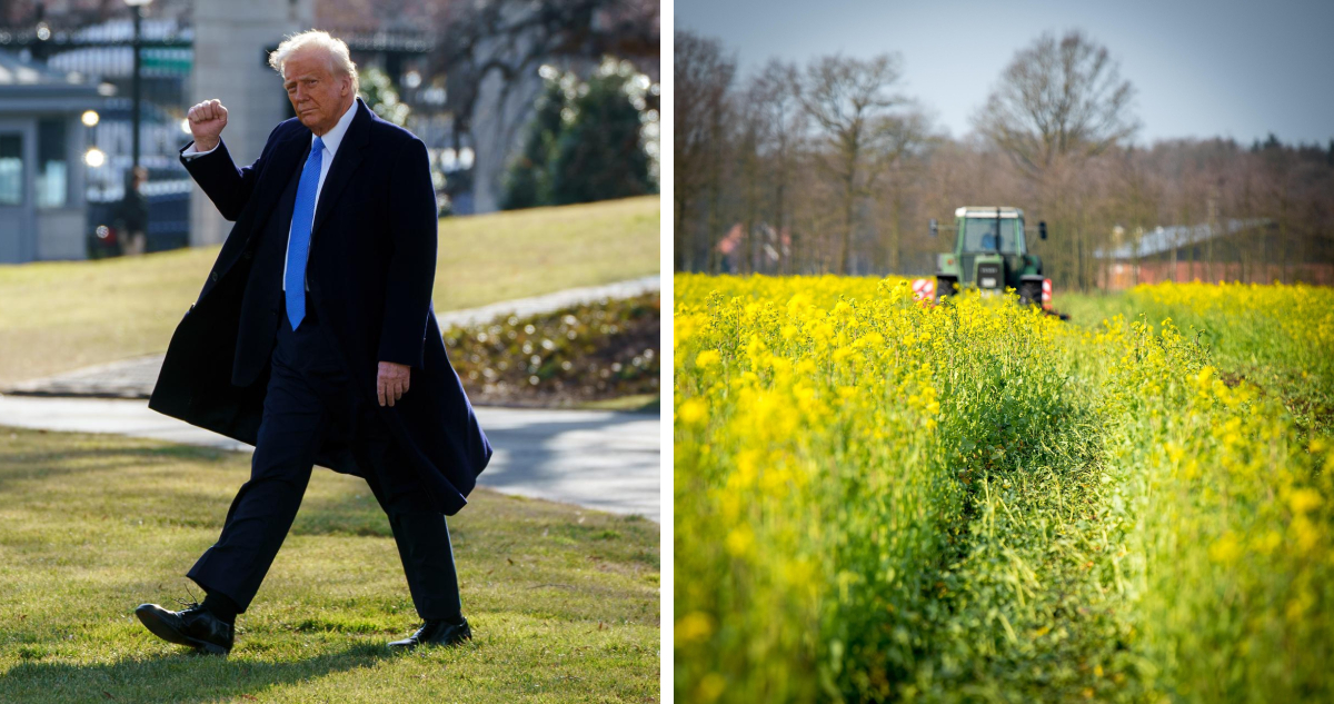Trump anuncia aranceles agrícolas y hace un llamado a grandes agricultores de EEUU: “¡Diviértanse!