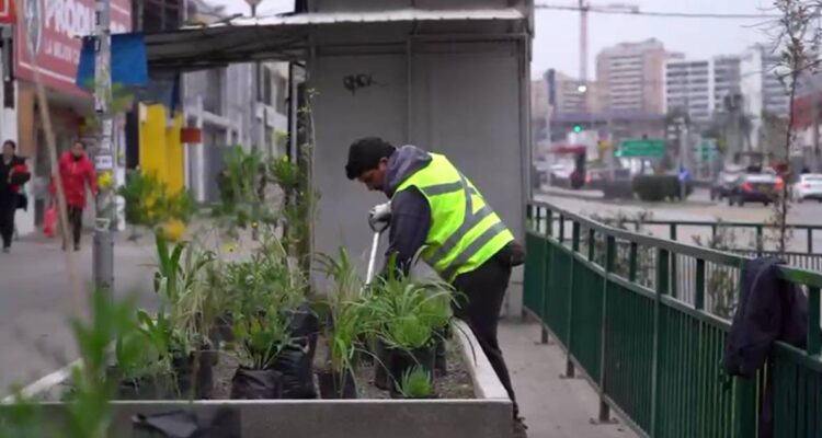 La Florida opta por “urbanismo táctico” para enfrentar al comercio ambulante