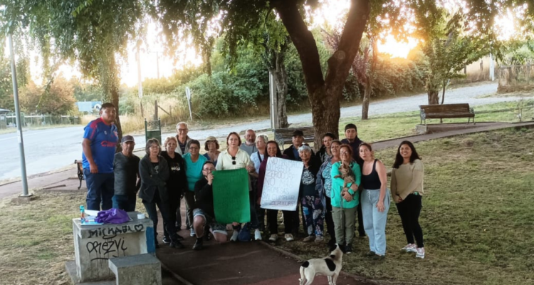 Vecinos de Purranque por medidas de la SMA contra empresa