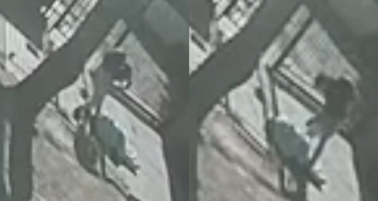Video muestra brutal asalto a hombre en Peñalolén: delincuente lo agredió con piedra y está crítico