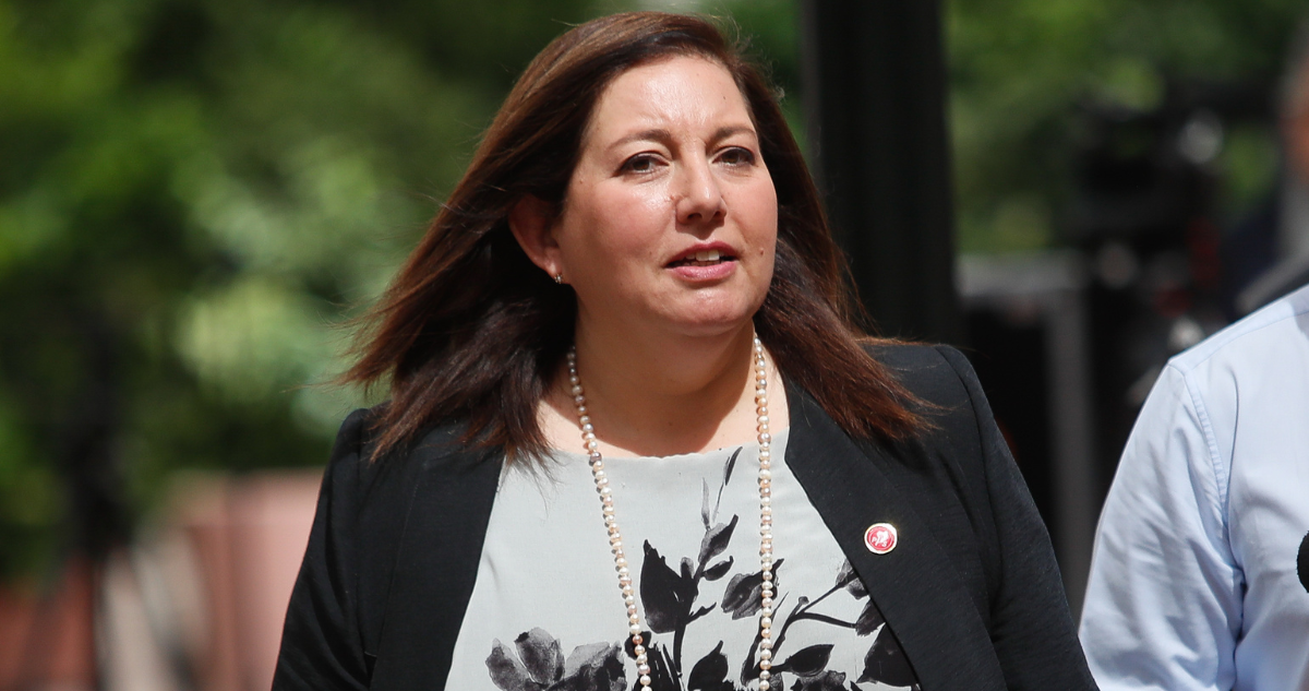 vodanovic chats cariola hassler