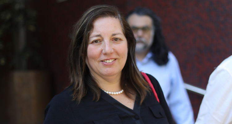 Vodanovic (PS) por Tohá: “La decisión de tener una candidatura socialista permanece inalterable”