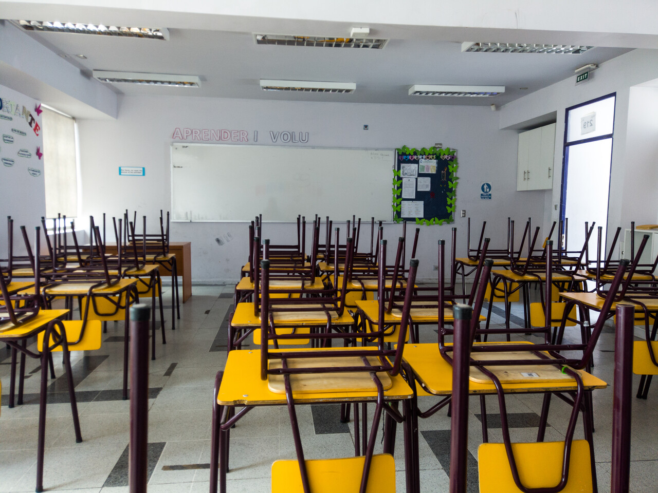 Gobierno presenta proyecto ante Comisión de Educación con nuevas exigencias para estudiar pedagogía
