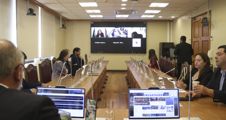 Cámara Baja realizará sesión especial para abordar llegada de migrantes haitianos en vuelos chárter