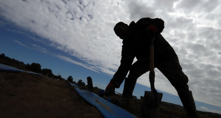 Agricultor por quema suspendida en Temuco y Padre Las Casas por el PDA