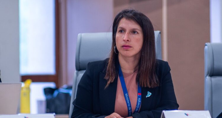 anef exige renuncia de seremi de Energía de Los Lagos por denuncias de maltrato laboral