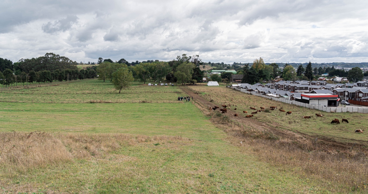Terreno para proyecto habitacional en Llanquihue