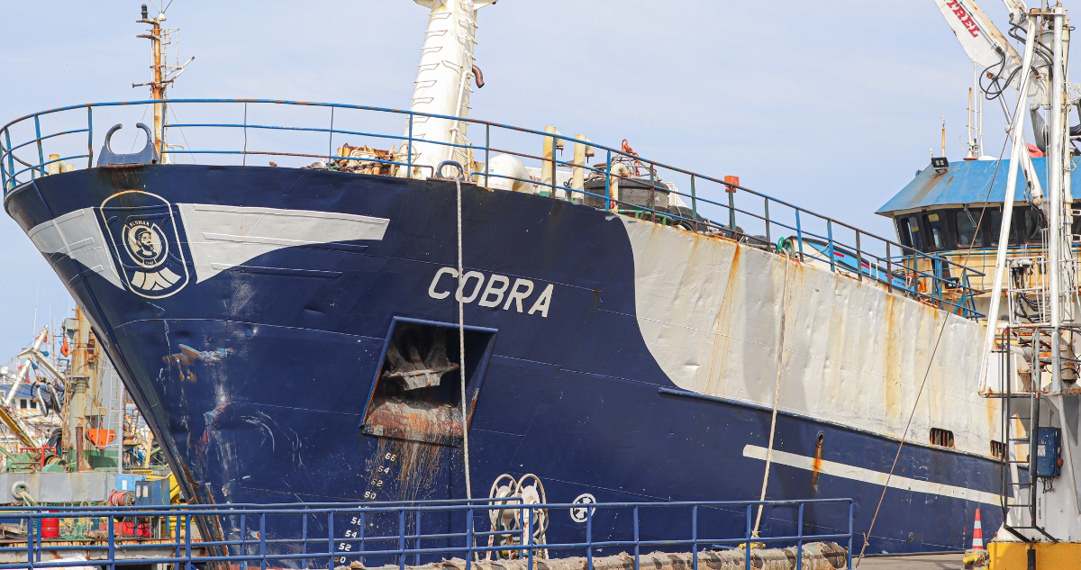 Barco Cobra por tema relacionado a abogado de fallecido vigía