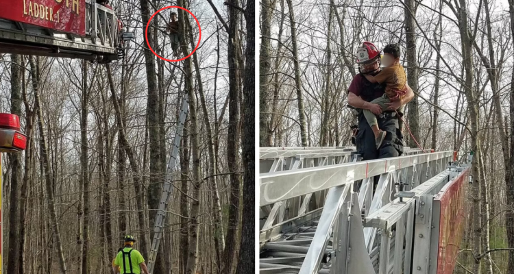 Bomberos de EE.UU rescatan a niño de 5 años atrapado en un árbol a 10 metros de altura