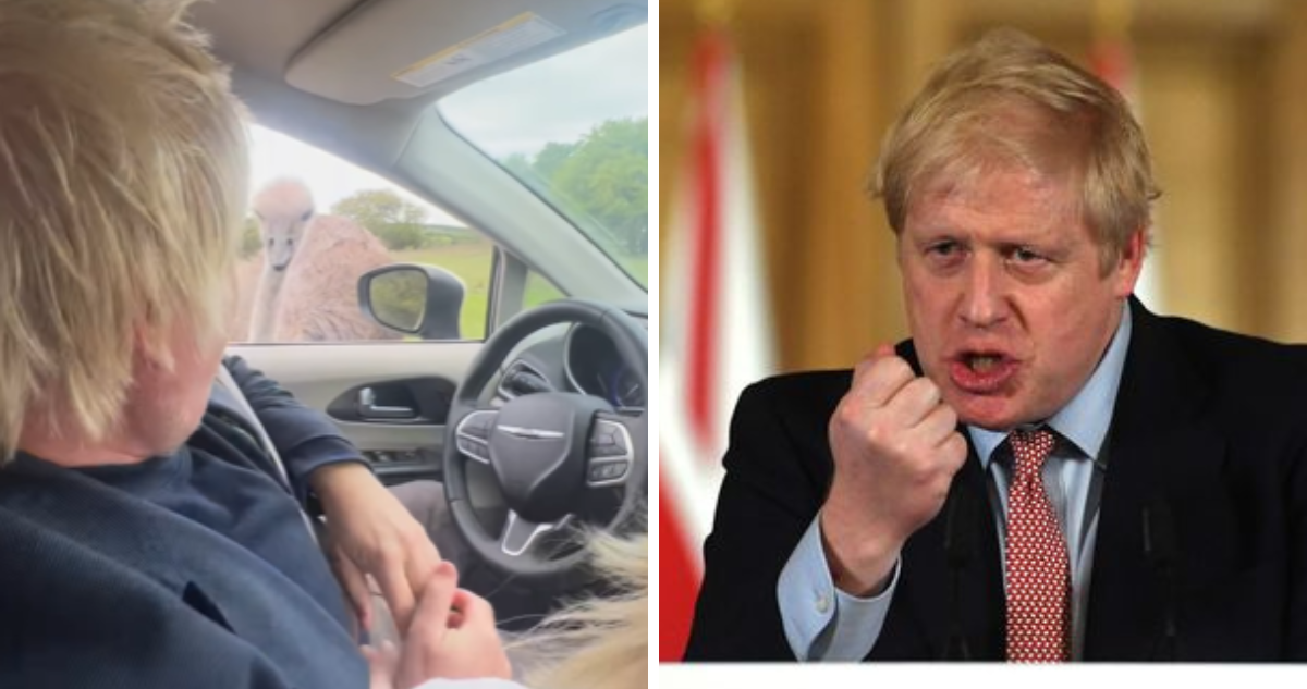 Avestruz muerde a Boris Johnson durante vacaciones familiares en Texas