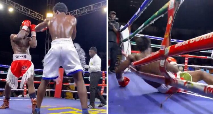 Boxeador Gabriel Oluwasegun murió tras desplomarse en el ring.