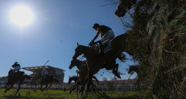 Caballo murió en evento Grand National de la hípica inglesa.