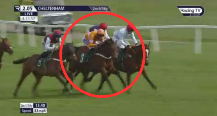 Tragedia en la carrera de caballos en Reino Unido: equino se desploma a metros de la meta.