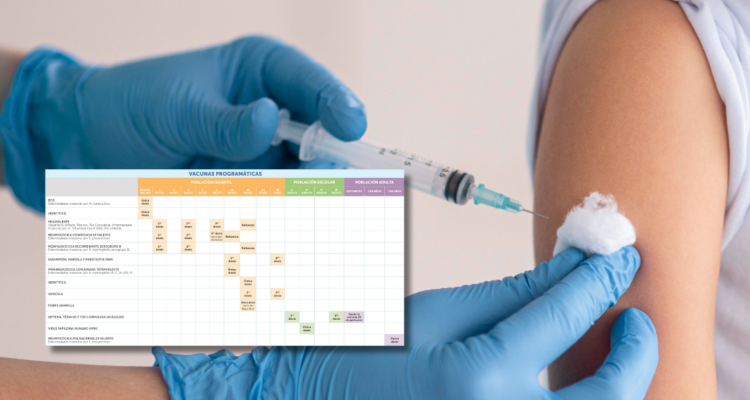 No son 72: estas son todas las dosis de vacunas del Programa Nacional de Inmunizaciones en Chile